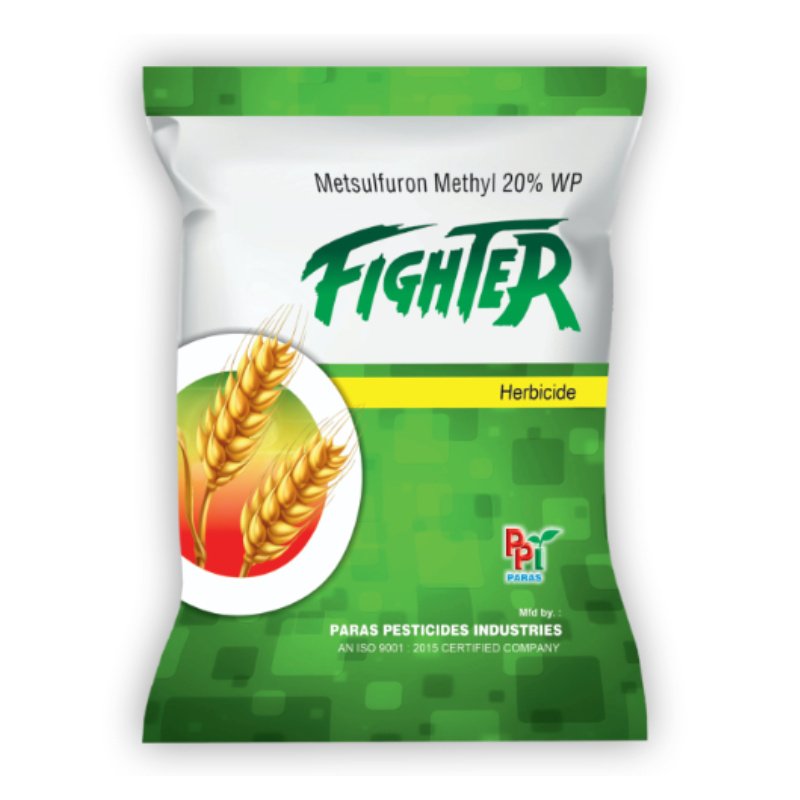 fighter