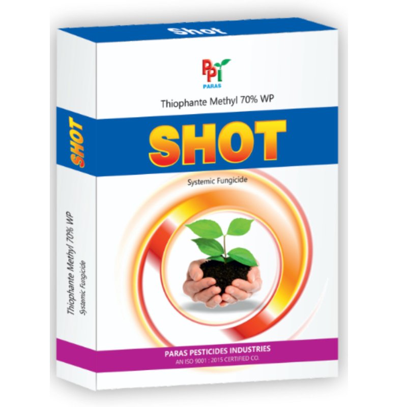 shot